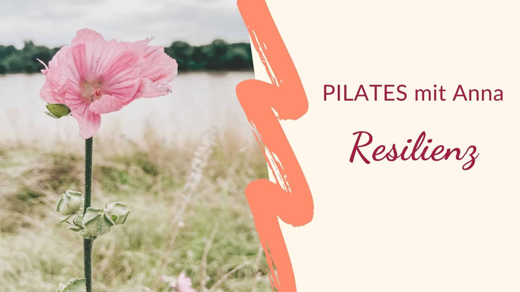 Thumbnail Pilates Video Workout Resilienz